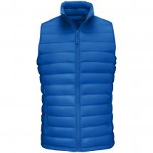 Жилет мужской Wilson BW Men, ярко-синий / Миниатюра WWW (1000)