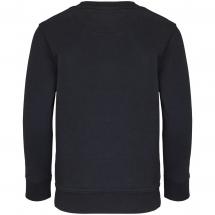Свитшот детский Columbia Kids, черный / Миниатюра WWW (1000)