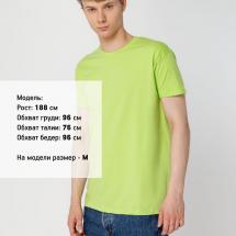 Футболка унисекс Regent 150, зеленое яблоко / Миниатюра WWW (1000)