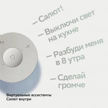 Умная колонка SberBoom Mini, белая / Миниатюра WWW (1000)