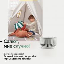 Умная колонка SberBoom Mini, белая / Миниатюра WWW (1000)