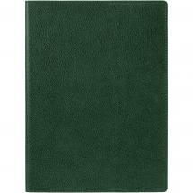Ежедневник в суперобложке Brave Book, недатированный, зеленый / Миниатюра WWW (1000)