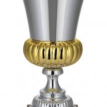 Кубок Erfolg, серебристый / Миниатюра WWW (1000)
