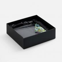 Стела Evergleam / Миниатюра WWW (1000)