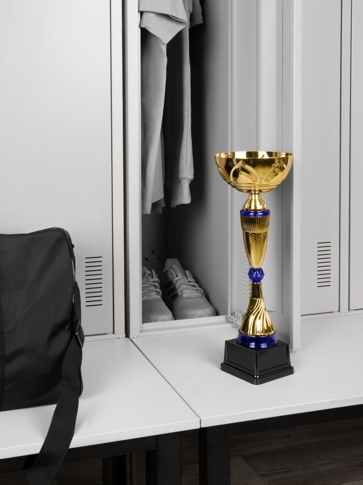 Кубок Awardee, большой, синий / Миниатюра имиджевого (1000)