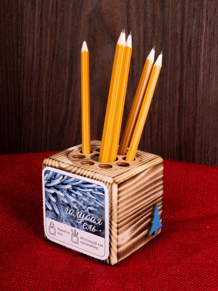 Набор для выращивания с органайзером «Экокуб Burn», ель голубая / Миниатюра имиджевого (1000)