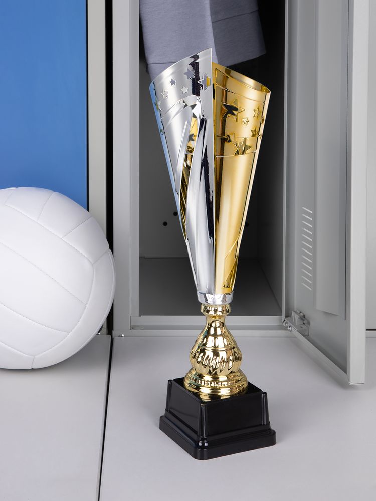 Кубок-факел Flamous Fusion / Миниатюра имиджевого (1000)