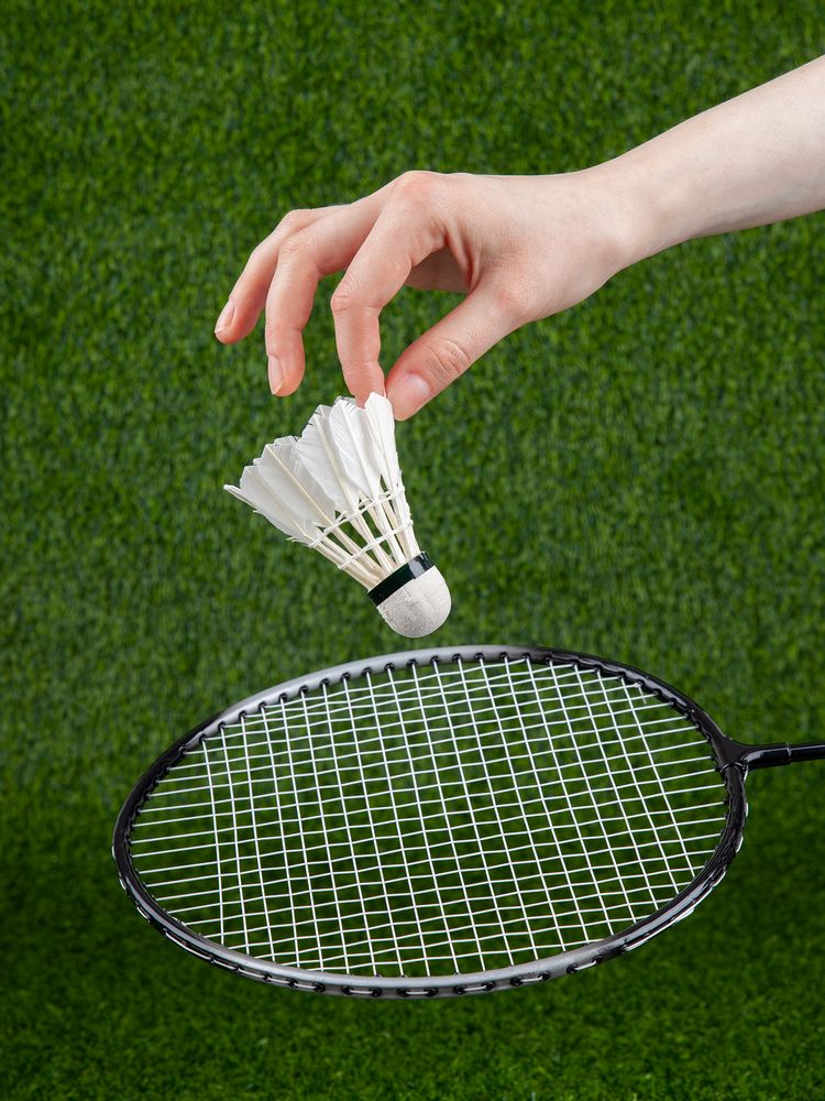 Набор для игры в бадминтон Gloucester, черно-серый / Миниатюра имиджевого (1000)