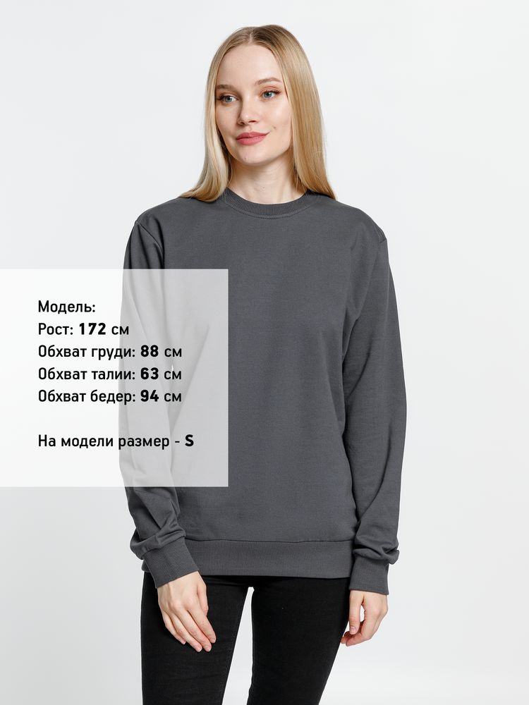 Свитшот Toima 2.0, темно-серый (графит) / Миниатюра модельного (1000)