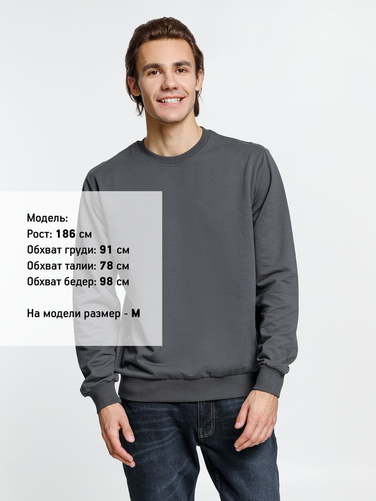Свитшот Toima 2.0, темно-серый (графит) / Миниатюра модельного (1000)