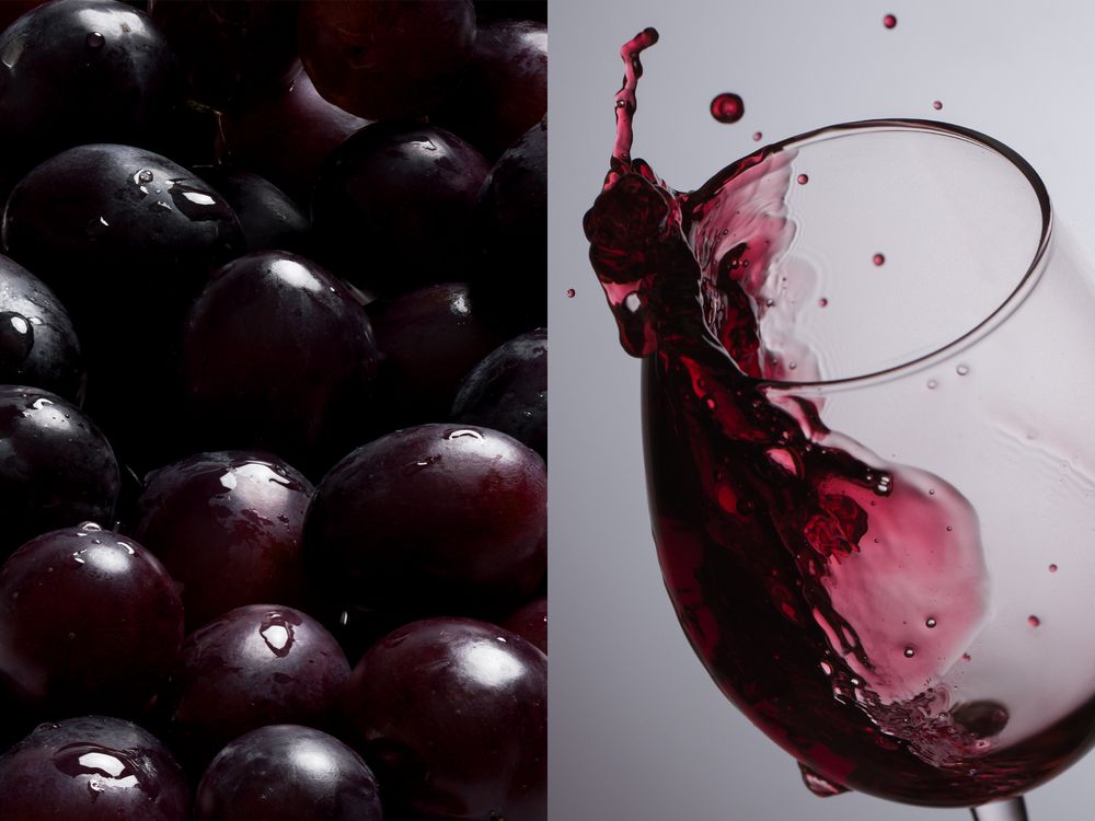 Бокал для вина «Энотека» / Миниатюра имиджевого (1000)