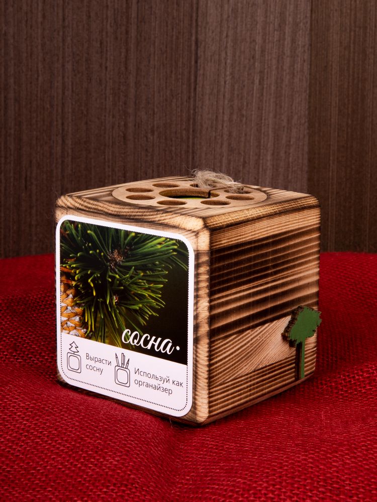 Набор для выращивания с органайзером «Экокуб Burn», сосна / Миниатюра имиджевого (1000)