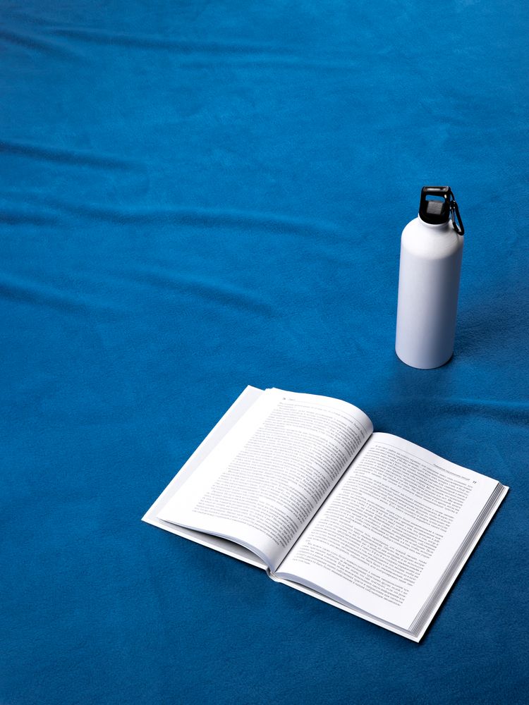 Дорожный плед Voyager 2, ярко-синий / Миниатюра имиджевого (1000)