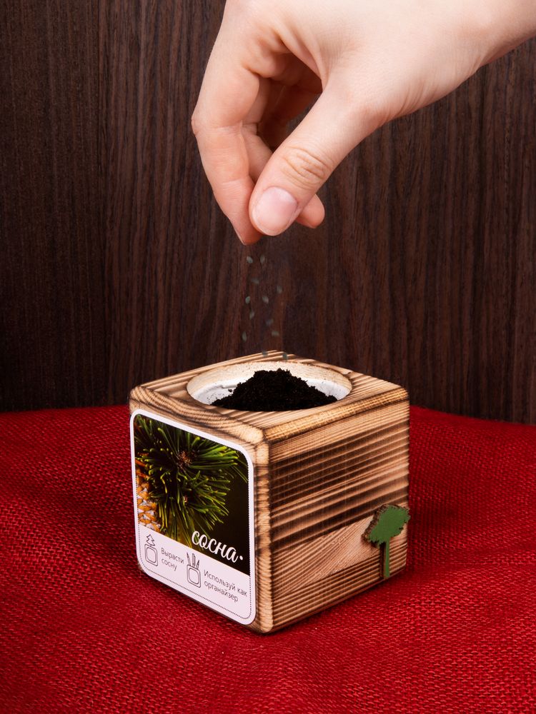 Набор для выращивания с органайзером «Экокуб Burn», сосна / Миниатюра имиджевого (1000)