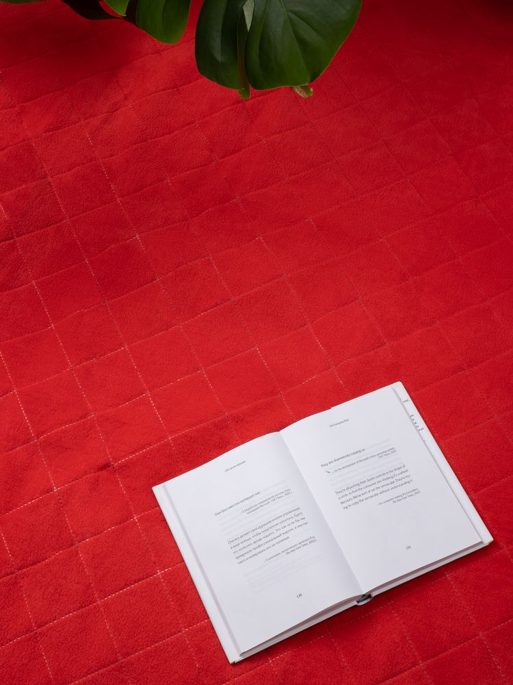 Плед для пикника Soft & Dry 2, красный / Миниатюра имиджевого (1000)