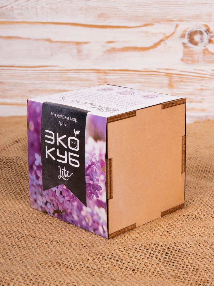 Набор для выращивания «Экокуб Lite», сирень / Миниатюра имиджевого (1000)