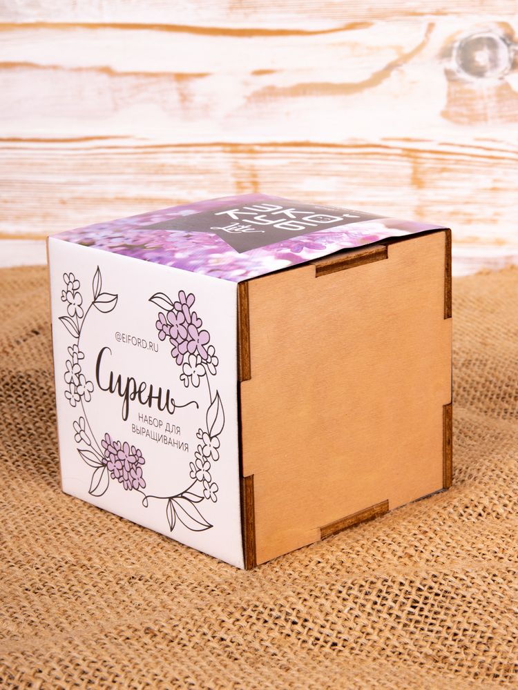 Набор для выращивания «Экокуб Lite», сирень / Миниатюра имиджевого (1000)
