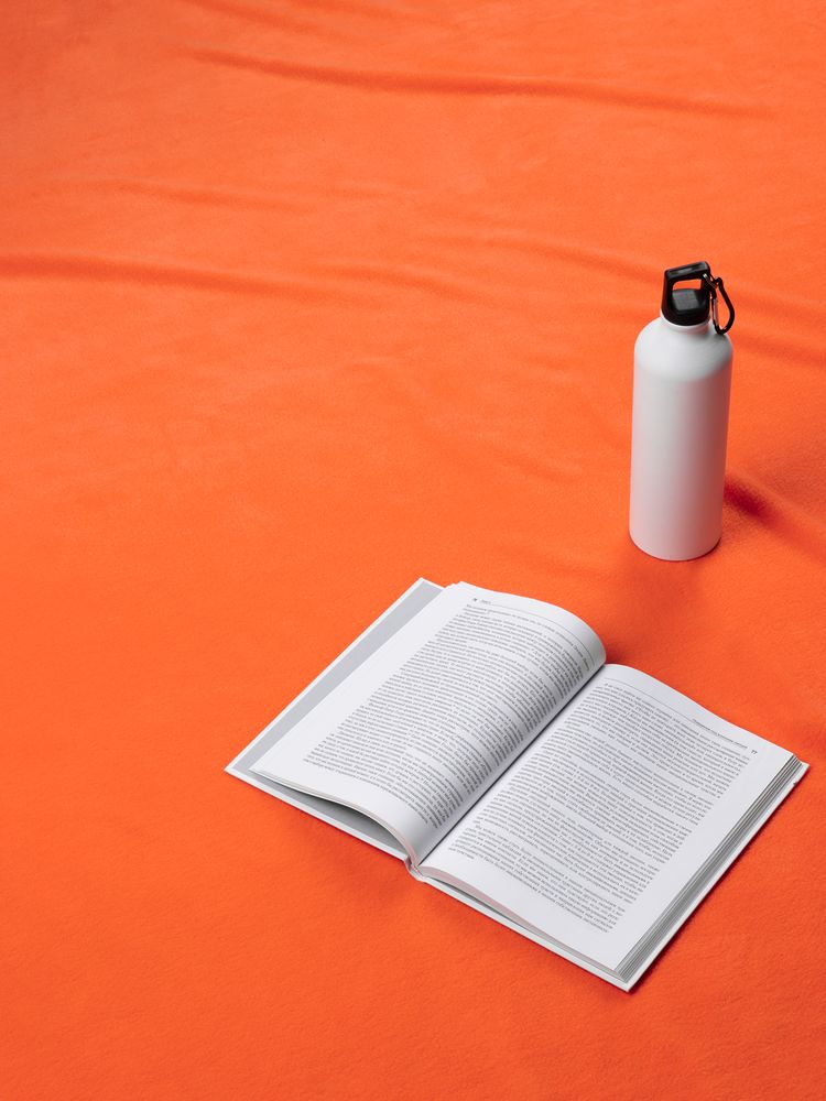 Дорожный плед Voyager 2, оранжевый / Миниатюра имиджевого (1000)