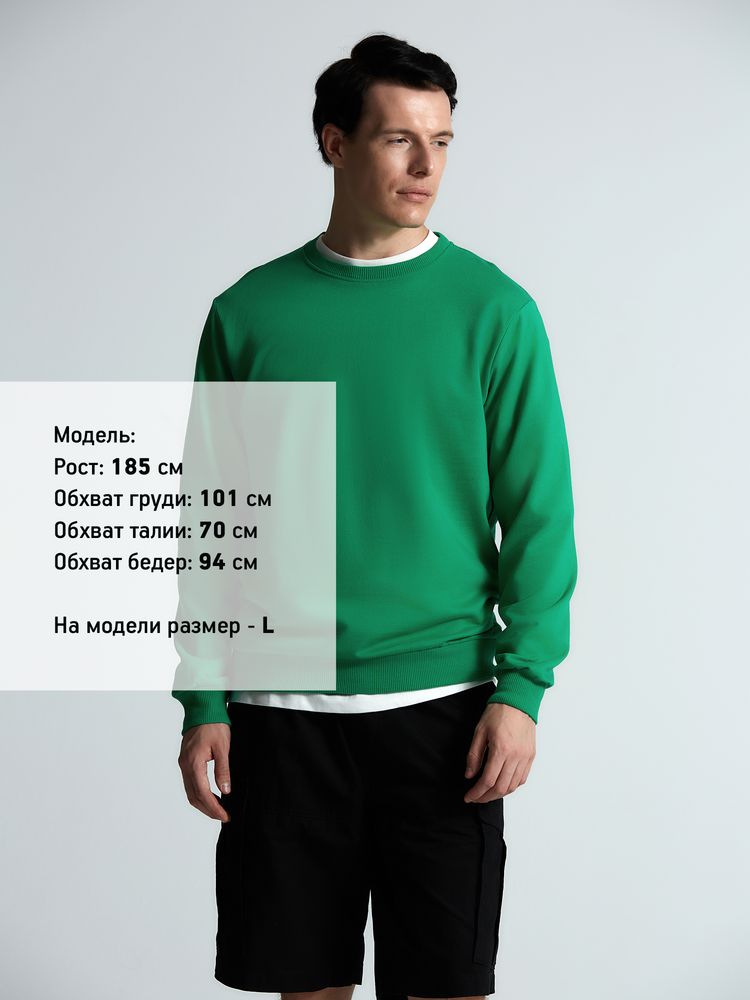 Свитшот Toima 2.0, зеленый / Миниатюра модельного (1000)