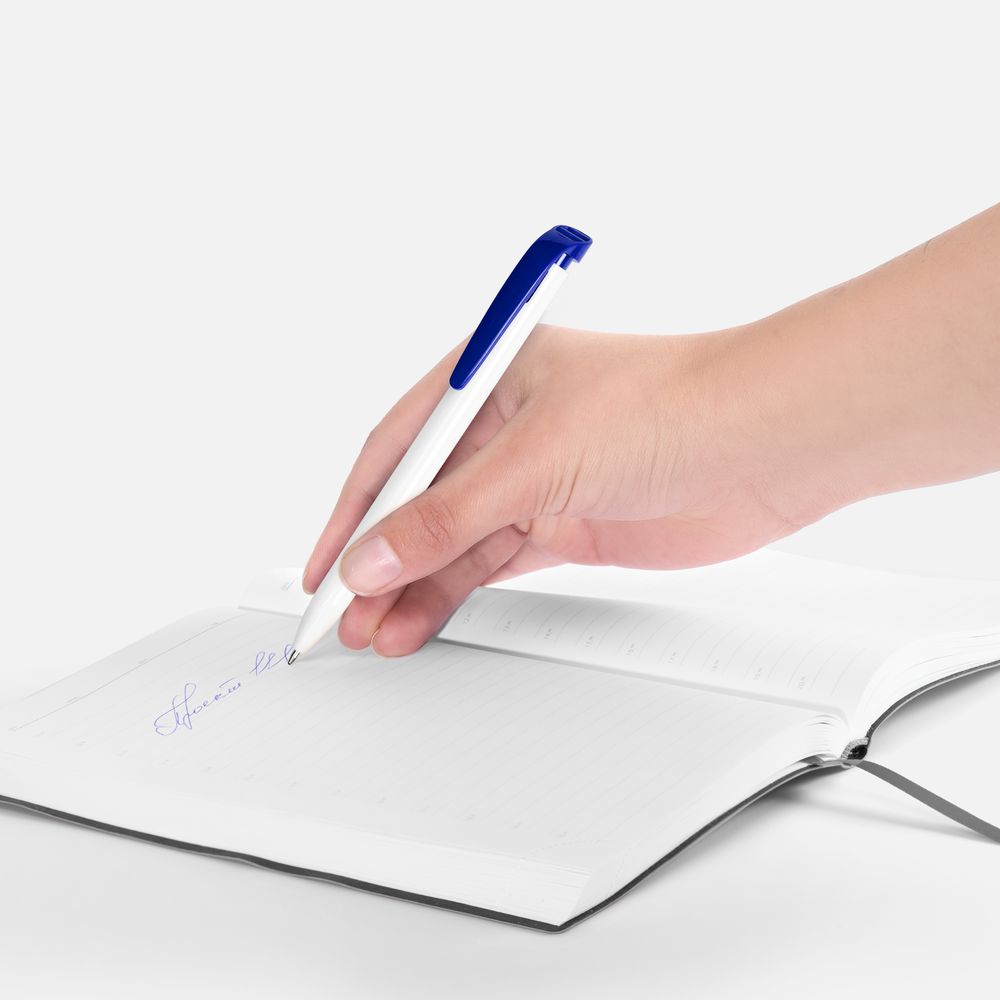 Ручка шариковая Favorite, белая с синим / Миниатюра WWW (1000)