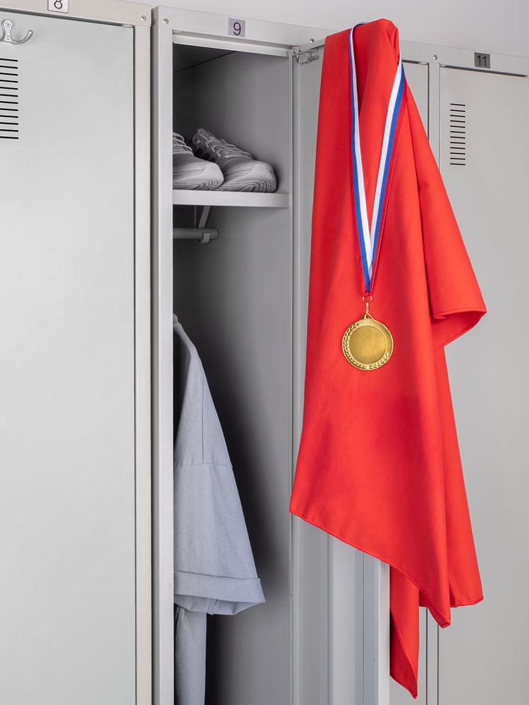 Медаль Regalia, большая, золотистая / Миниатюра имиджевого (1000)