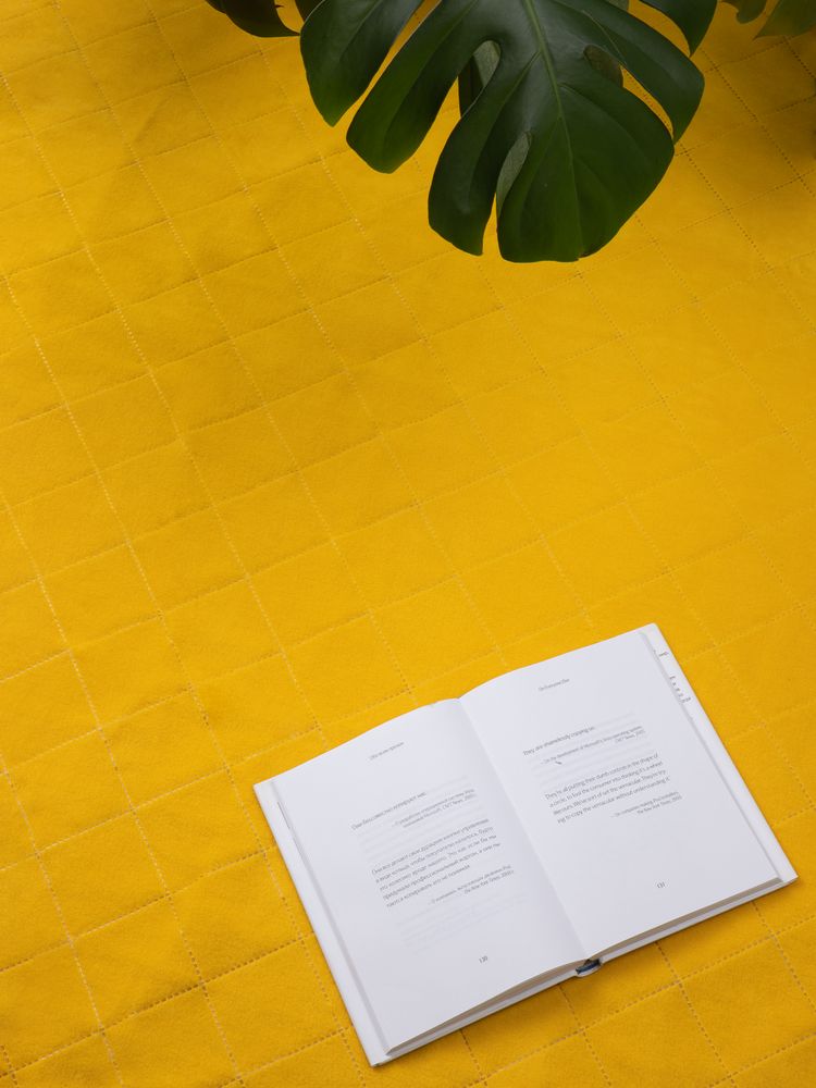 Плед для пикника Soft & Dry 2, желтый / Миниатюра имиджевого (1000)