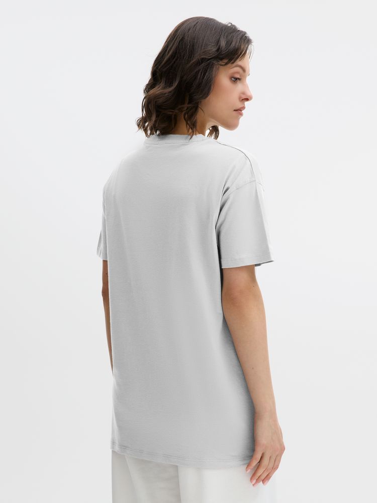 Футболка унисекс Regent 150, серая / Миниатюра модельного (1000)