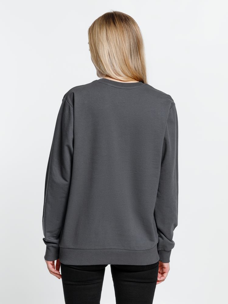 Свитшот Toima 2.0, темно-серый (графит) / Миниатюра модельного (1000)