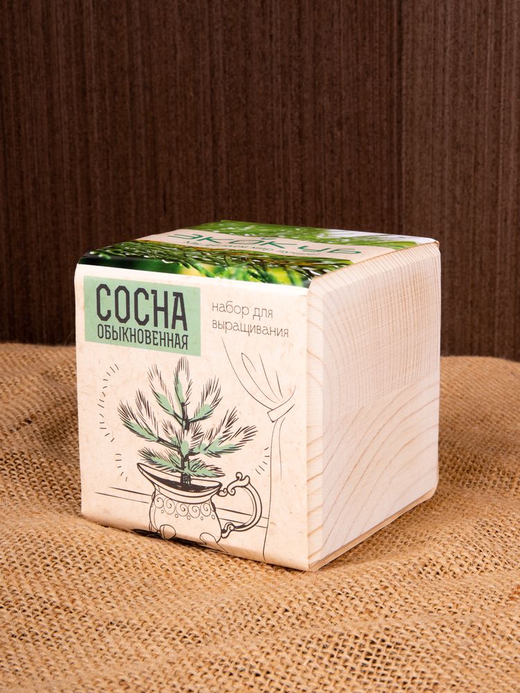 Набор для выращивания «Экокуб», сосна / Миниатюра имиджевого (1000)