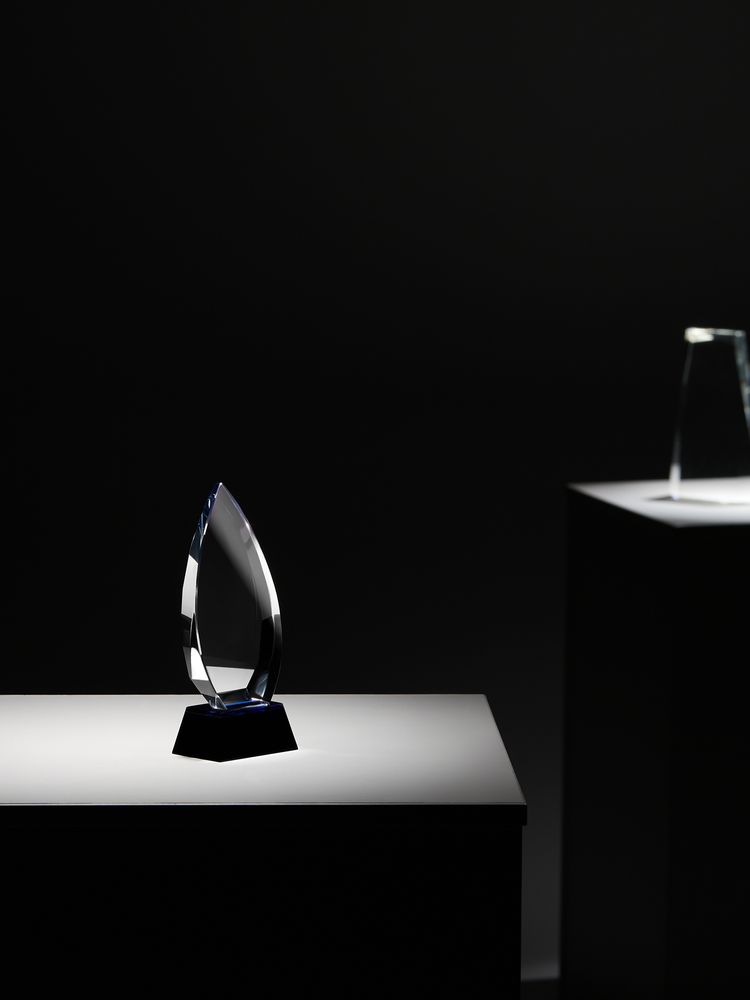 Награда Droplet / Миниатюра имиджевого (1000)