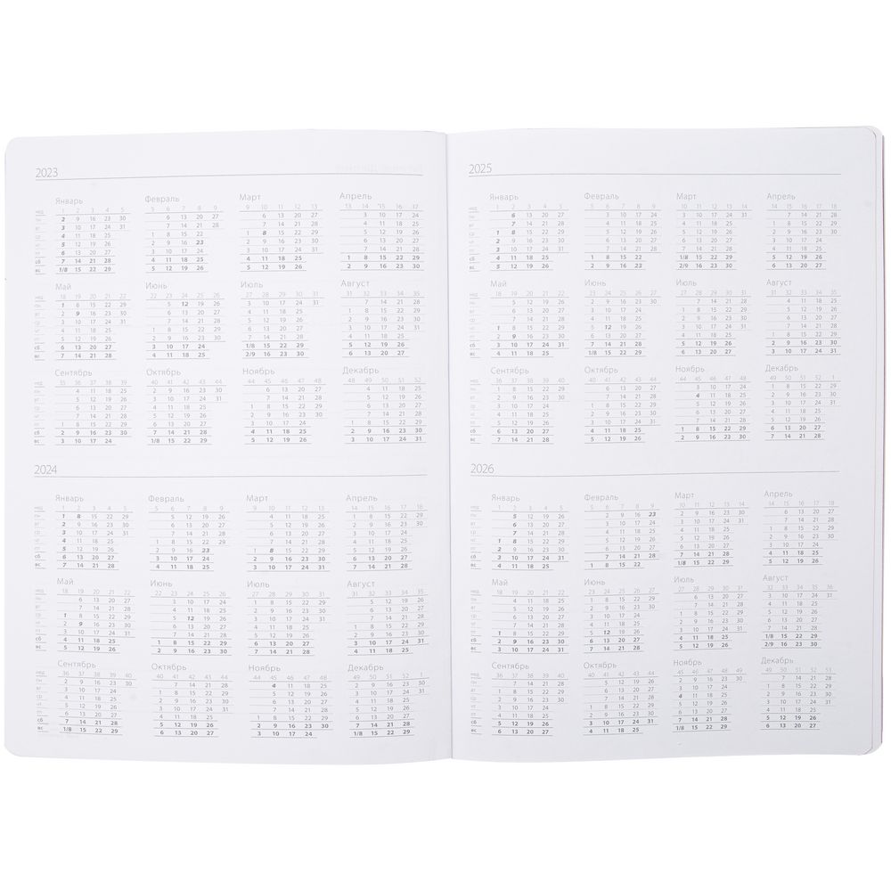 Ежедневник Flexpen, недатированный, серебристо-фиолетовый / Миниатюра WWW (1000)