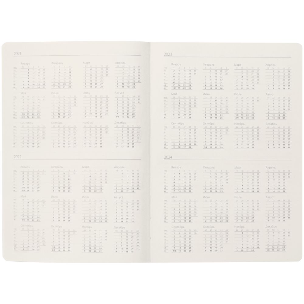 Ежедневник Ridge, недатированный, серый / Миниатюра WWW (1000)