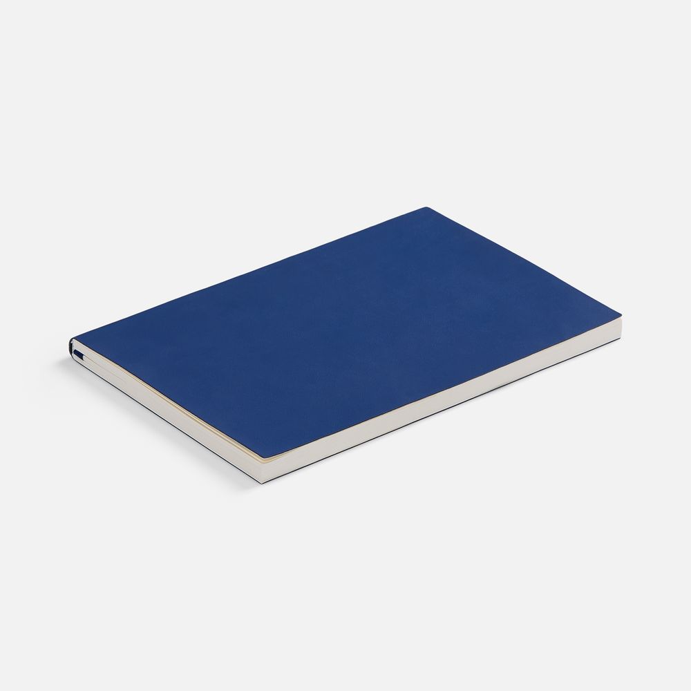 Ежедневник Flat Light ver.2, недатированный, синий / Миниатюра WWW (1000)