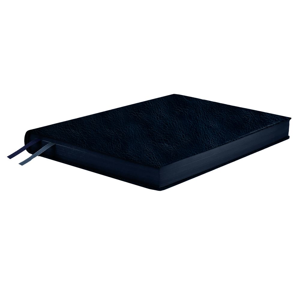 Ежедневник Merida, датированный, синий / Миниатюра WWW (1000)