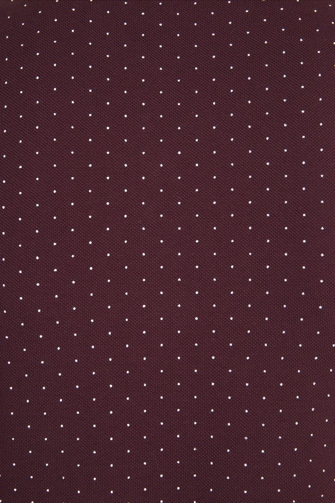 Рубашка поло женская Brandy Women, белая с темно-синим / Миниатюра WWW (1000)