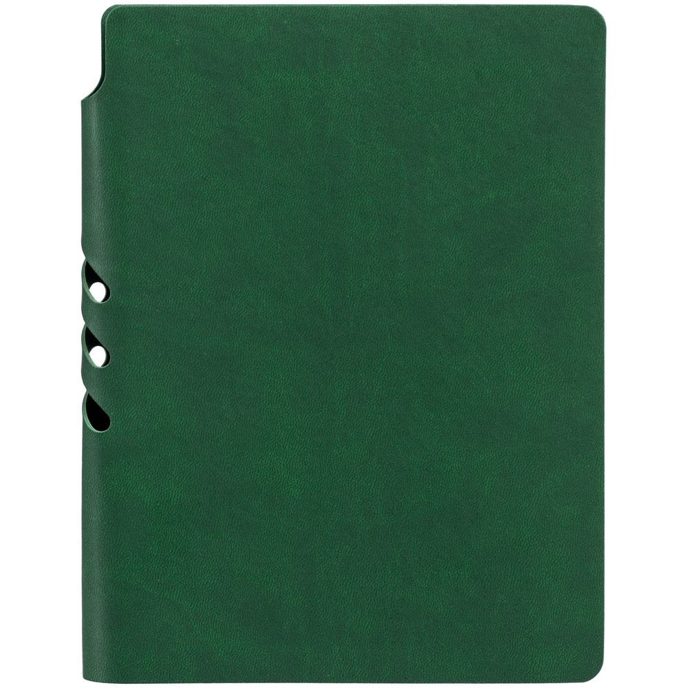 Ежедневник Flexpen Color, датированный, зеленый / Миниатюра WWW (1000)