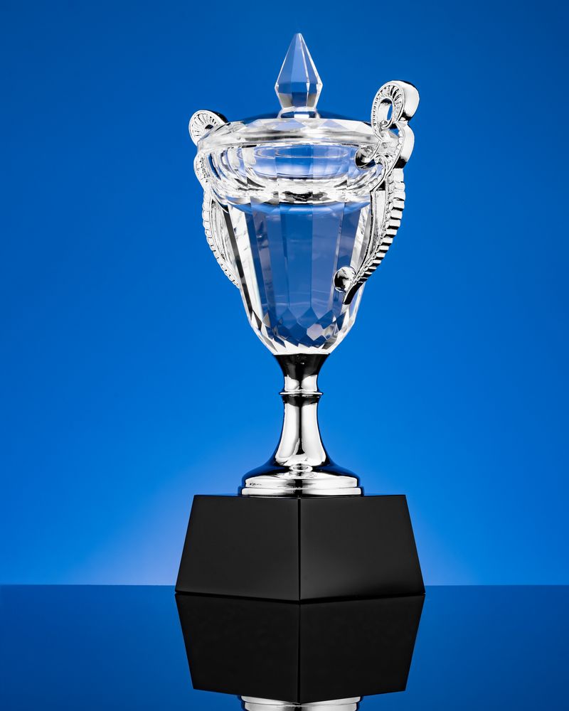 Кубок Victorious, уценка / Миниатюра WWW (1000)