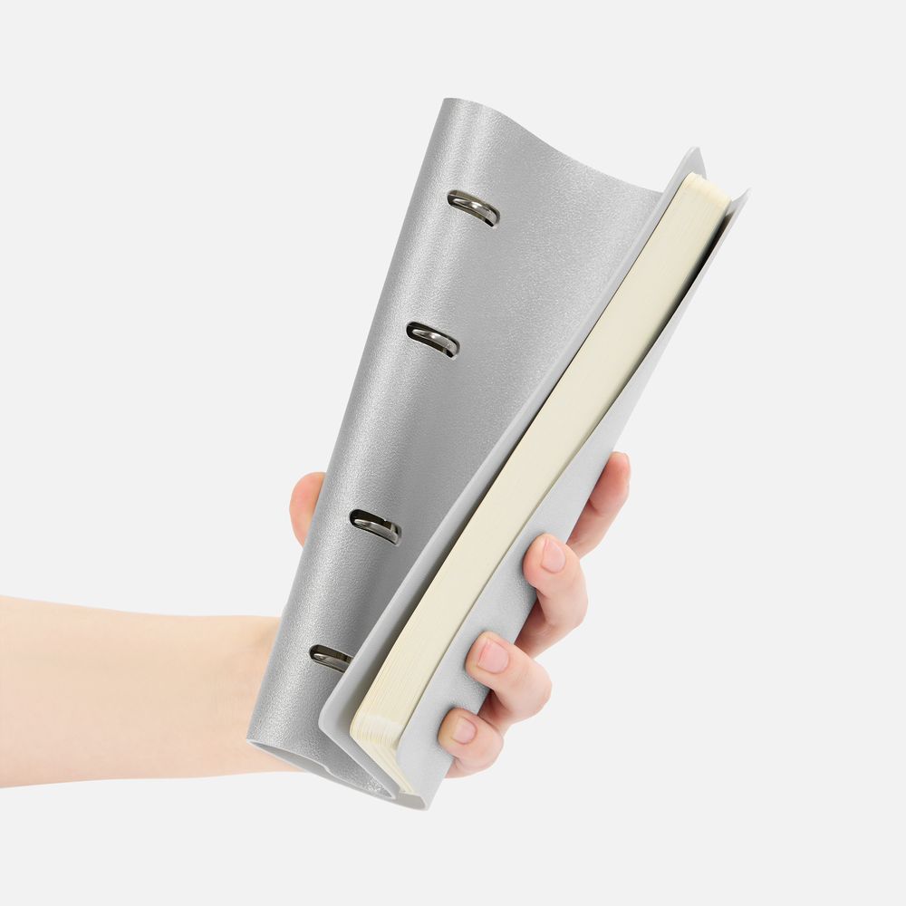 Ежедневник Ringo, недатированный, серебристый / Миниатюра WWW (1000)