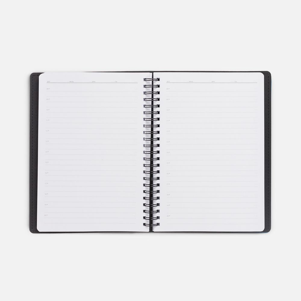 Ежедневник Spring Shall, недатированный, голубой / Миниатюра WWW (1000)