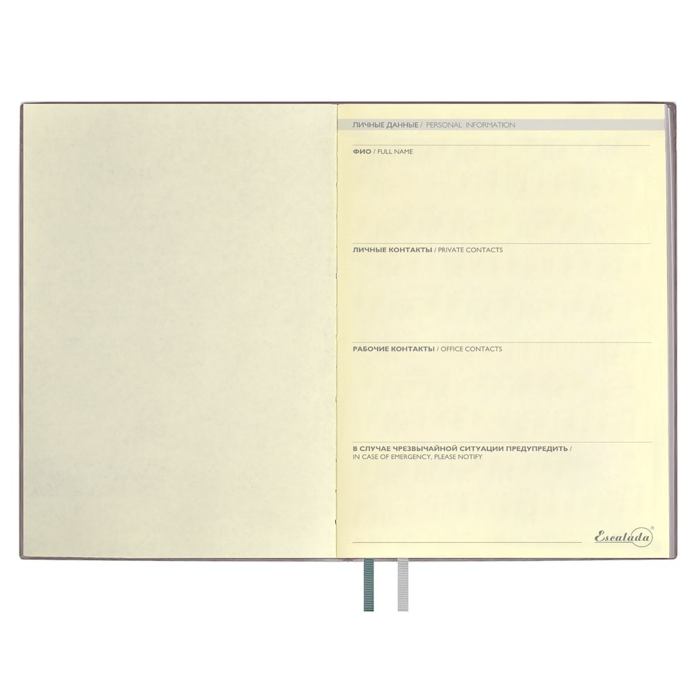 Ежедневник Avila, недатированный, серый / Миниатюра WWW (1000)