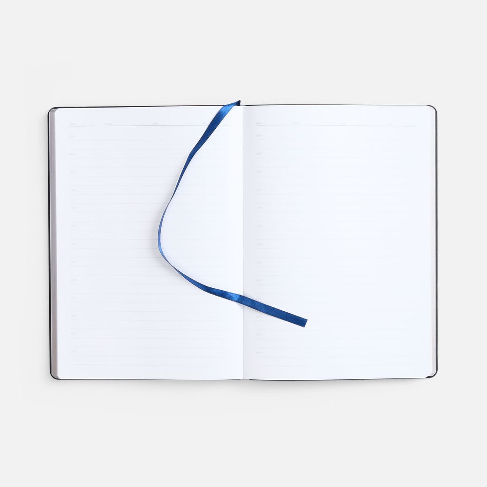 Ежедневник Nebraska Flex, недатированный, синий с серебром / Миниатюра WWW (1000)