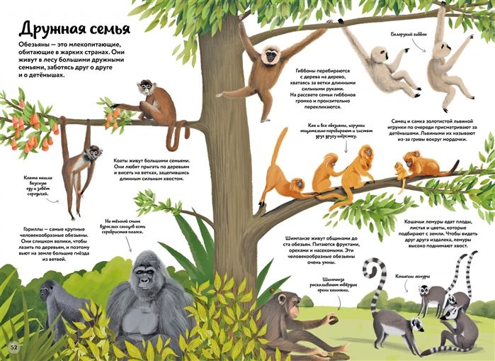 Книга «Большая книга о природе в картинках» / Миниатюра WWW (1000)