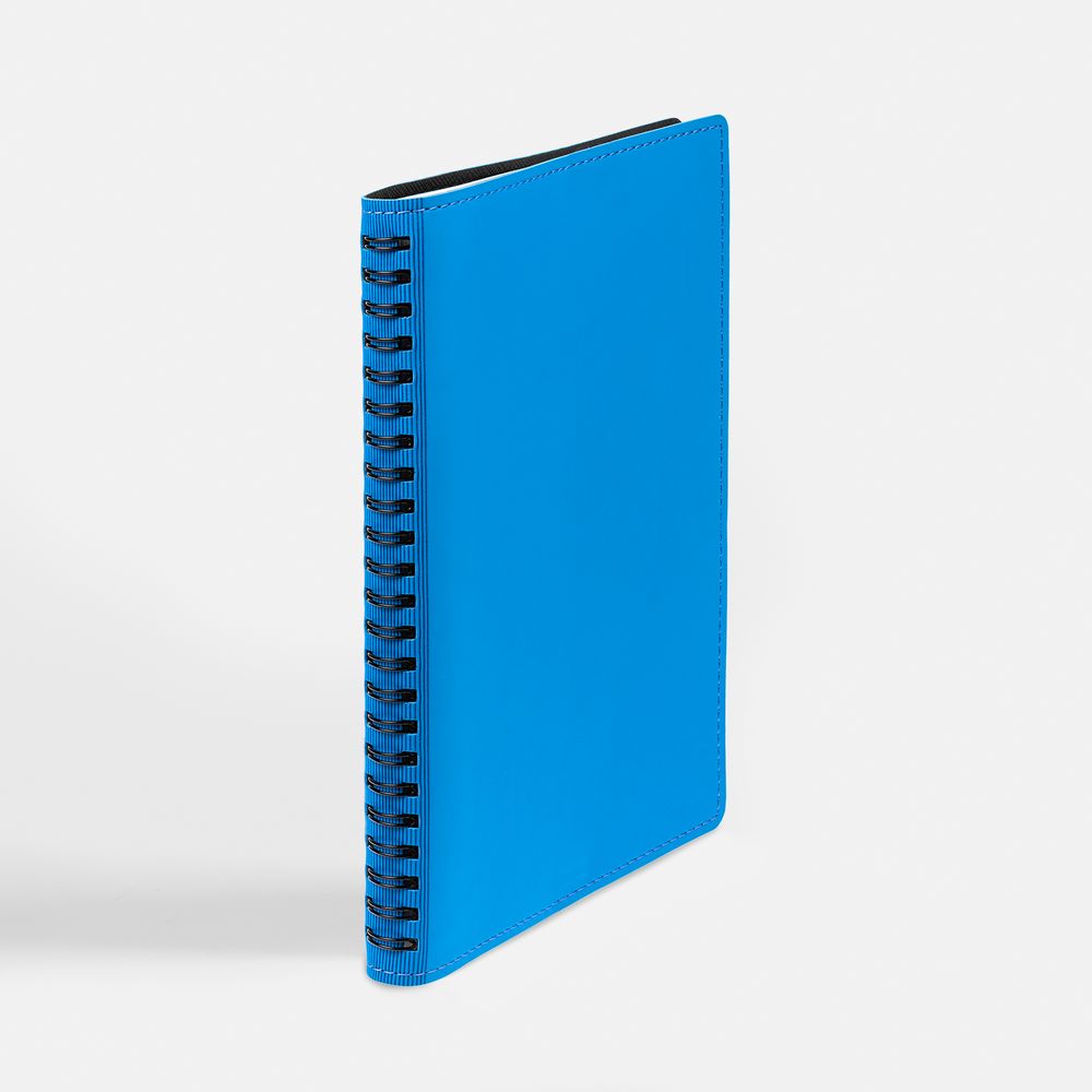 Ежедневник Spring Shall, недатированный, голубой / Миниатюра WWW (1000)