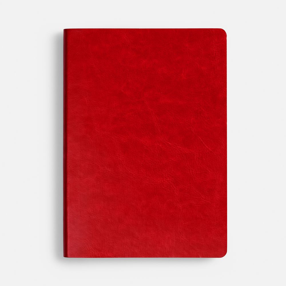 Ежедневник Nebraska Flex, недатированный, красный с золотистым / Миниатюра WWW (1000)