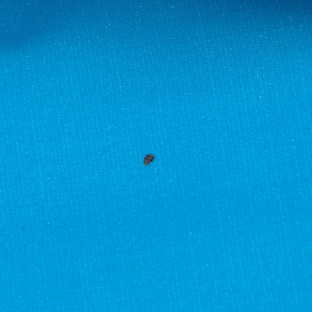 Поясная сумка Manifest Color из светоотражающей ткани, синяя, уценка / Миниатюра WWW (1000)