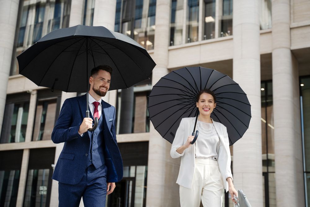 Зонт-трость Lui, черный / Миниатюра WWW (1000)