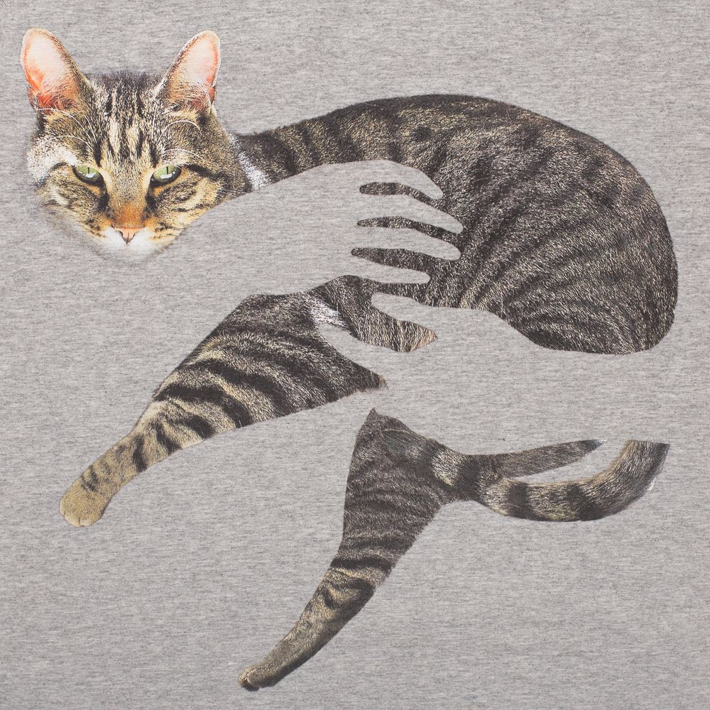 Футболка женская «Погладь кота», серый меланж / Миниатюра WWW (1000)