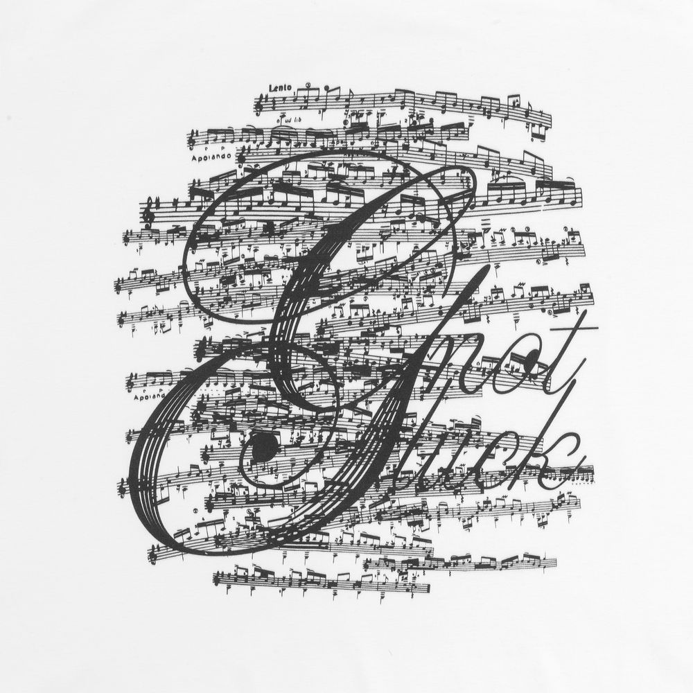 Футболка Not Gluck, белая / Миниатюра WWW (1000)