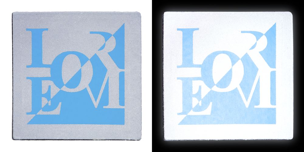 Лейбл светоотражающий Tao, L, серый / Миниатюра WWW (1000)