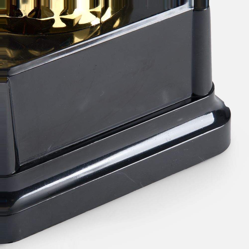 Кубок-факел Flamous Starry / Миниатюра WWW (1000)